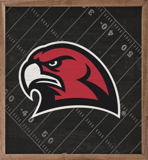 Black Football Field Miami University